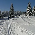 Chalet Pod Klinovcem Loučná pod Klínovcem