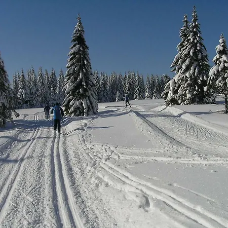 Alpehytte Pod Klinovcem Loučná pod Klínovcem