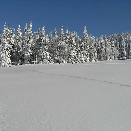 Alpehytte Pod Klinovcem *