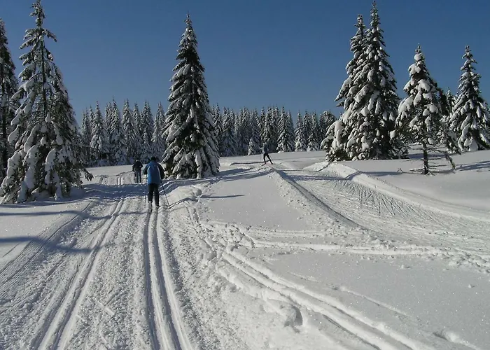 Domek alpejski Pod Klinovcem Loučná pod Klínovcem