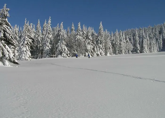 Domek alpejski Pod Klinovcem *